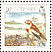 Snow Bunting Plectrophenax nivalis  1990 Christmas Sheet