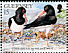 Eurasian Oystercatcher Haematopus ostralegus  1991 Nature conservation 10v set