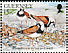 Ruddy Turnstone Arenaria interpres  1991 Nature conservation 10v set