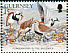 Dunlin Calidris alpina  1991 Nature conservation 10v set