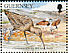 Eurasian Curlew Numenius arquata  1991 Nature conservation 10v set