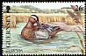 Garganey Spatula querquedula  2001 Europa 