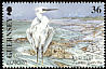 Little Egret Egretta garzetta  2001 Europa 