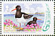 Eurasian Oystercatcher Haematopus ostralegus  2006 Ramsar 6v sheet