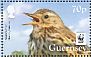 Meadow Pipit Anthus pratensis  2017 WWF Sheet