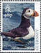 Atlantic Puffin Fratercula arctica  2019 Birds/Europa 