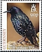 Common Starling Sturnus vulgaris