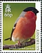 Eurasian Bullfinch Pyrrhula pyrrhula  2019 Birds/Europa Sheet