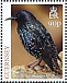 Common Starling Sturnus vulgaris