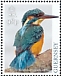 Common Kingfisher Alcedo atthis  2019 Birds/Europa Sheet