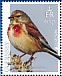 Common Linnet Linaria cannabina  2019 Birds/Europa Sheet