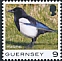 Eurasian Magpie Pica pica