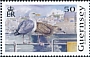 European Herring Gull Larus argentatus  2021 Europa 8v set