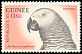 Grey Parrot Psittacus erithacus