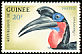 Abyssinian Ground Hornbill Bucorvus abyssinicus  1962 Birds 