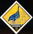 Vulturine Guineafowl Acryllium vulturinum  1971 Birds 