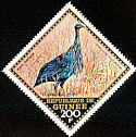 Vulturine Guineafowl Acryllium vulturinum  1971 Birds 