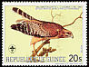 Red-shouldered Hawk Buteo lineatus  1985 Audubon 