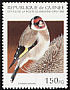 European Goldfinch Carduelis carduelis  1995 Birds 