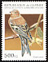 Common Chaffinch Fringilla coelebs