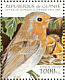 European Robin Erithacus rubecula  1995 Birds  MS