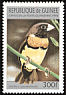 Chestnut-breasted Mannikin Lonchura castaneothorax  1996 Birds 