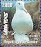 Southern Royal Albatross Diomedea epomophora  1998 Greenpeace  MS