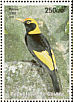 Regent Bowerbird Sericulus chrysocephalus  1998 Birds Sheet