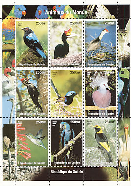 Usato Stamp Uccello Colibri' Colibri Guinea 1998 Bird Timbrato Francobollo 1479 