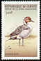 Northern Pintail Anas acuta  1999 Birds of the world 