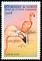 American Flamingo Phoenicopterus ruber  1999 Birds of the world 
