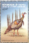 Wild Turkey Meleagris gallopavo  1999 Gamebirds Sheet