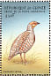 Grey Partridge Perdix perdix  1999 Gamebirds Sheet