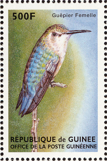 Chad 2019 Gomma integra non linguellato COLIBRI 'Colibrì 4v M/S COLIBRI birds stamps 