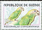 Brown-headed Parrot Poicephalus cryptoxanthus  2001 Parrots Sheet without surrounds