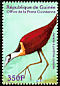 African Jacana Actophilornis africanus  2001 Philanippon 01 