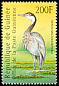 Black-headed Heron Ardea melanocephala