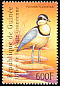 Egyptian Plover Pluvianus aegyptius  2001 Philanippon 01 