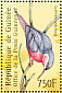 Rosy Bee-eater Merops malimbicus  2001 Philanippon 01 Sheet