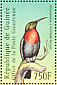 Scarlet-chested Sunbird Chalcomitra senegalensis  2001 Philanippon 01 Sheet