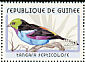 Paradise Tanager Tangara chilensis  2001 Passerines Sheet without surrounds