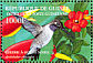 Black-chinned Hummingbird Archilochus alexandri  2002 Caribbean Hummingbirds Sheet