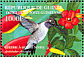 Black-chinned Hummingbird Archilochus alexandri