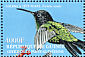 Black-billed Streamertail Trochilus scitulus  2002 Caribbean Hummingbirds  MS