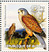 Common Kestrel Falco tinnunculus  2002 Birds of prey Sheet