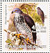 European Honey Buzzard Pernis apivorus  2002 Birds of prey Sheet