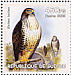 Common Buzzard Buteo buteo  2002 Birds of prey Sheet