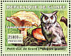Southern White-faced Owl Ptilopsis granti  2007 Owls and fungi  MS
