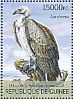 White-backed Vulture Gyps africanus  2013 Birds of prey Sheet