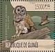 Barred Owl Strix varia  2013 Owls Sheet